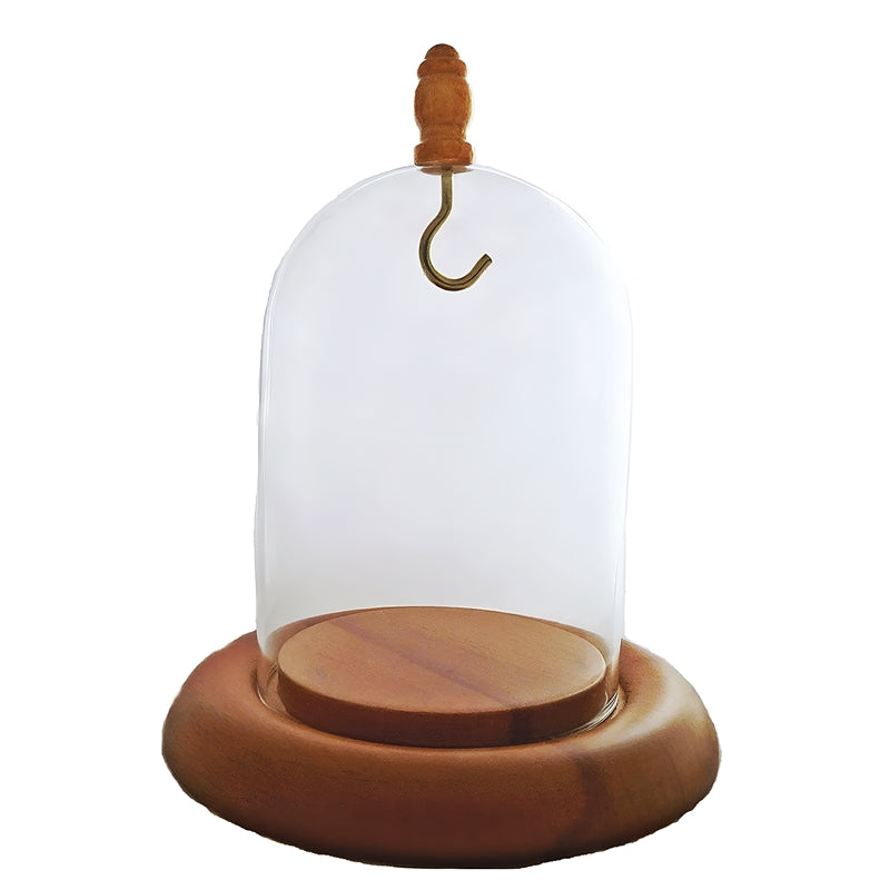 Pocket watch glass display dome cloche hook oak wood base and knob 3"x4", back view.