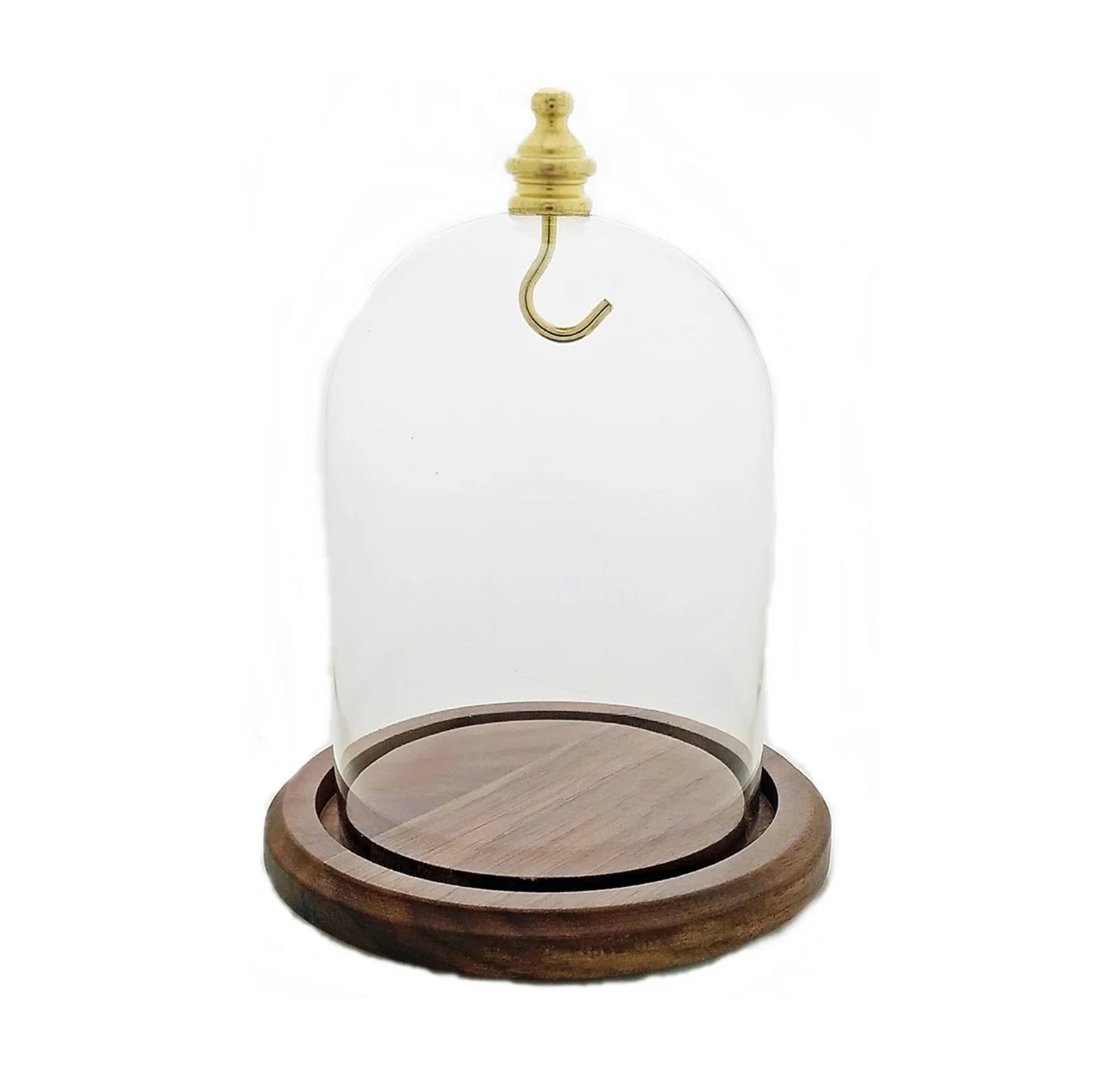 Pocket watch display dome collection preview image.