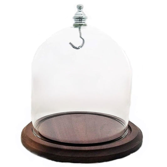 Pocket watch glass display dome cloche real walnut wood base and silver hook 4"x4", front view.