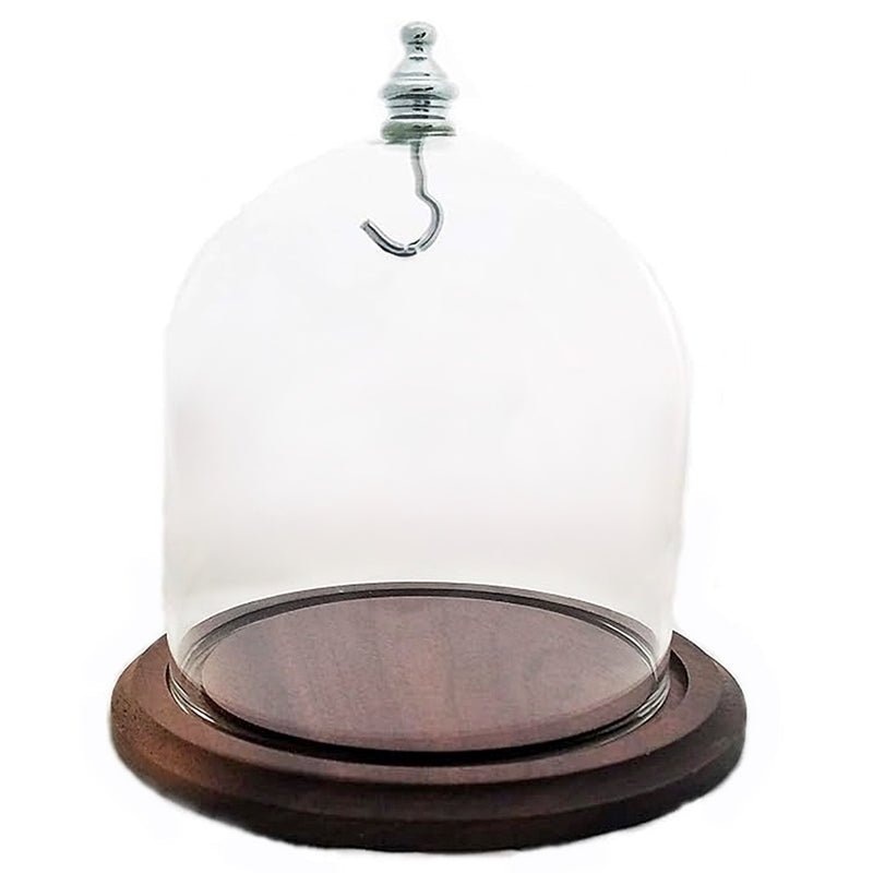 Pocket Watch Glass Display Dome Cloche Real Walnut Wood Base & Silver ...